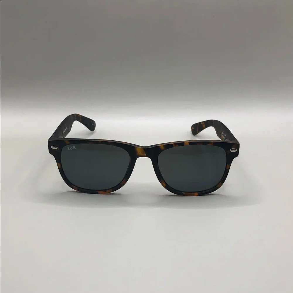 Two Blind Brothers regular nothing come